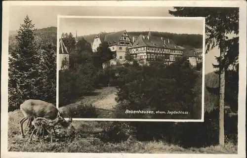 AK / Ansichtskarte Bebenhausen Tuebingen Jagdschloss Reh Kat. Tuebingen