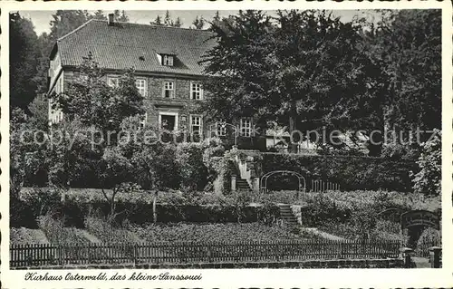 AK / Ansichtskarte Osterwald Elze Kurhaus Osterwald das kleine Sanssouci Kat. Salzhemmendorf