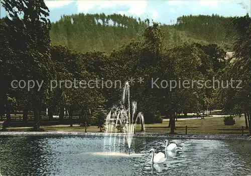 AK / Ansichtskarte Nieheim Schwanenteich mit Blick zum Holsterberg Fontaene Kat. Nieheim