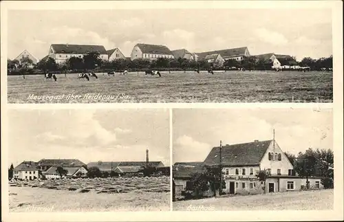 AK / Ansichtskarte Meusegast Dohna Teilansichten Gasthaus und Kolonialwaren Geschaeft