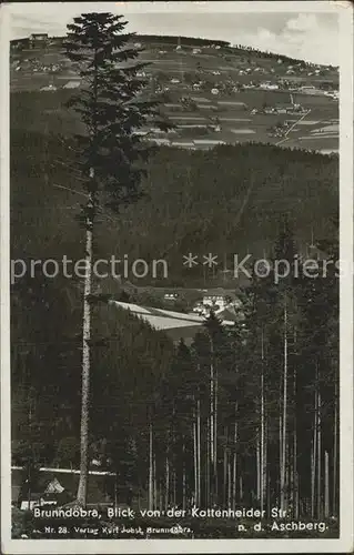 AK / Ansichtskarte Brunndoebra Blick von der Kottenheider Strasse nach dem Aschberg Kat. Klingenthal Sachsen