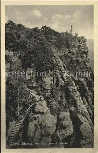 AK / Ansichtskarte Koenigstein Saechsische Schweiz Aufstieg zum Lilienstein Felsen Elbsandsteingebirge Kat. Koenigstein Saechsische Schweiz