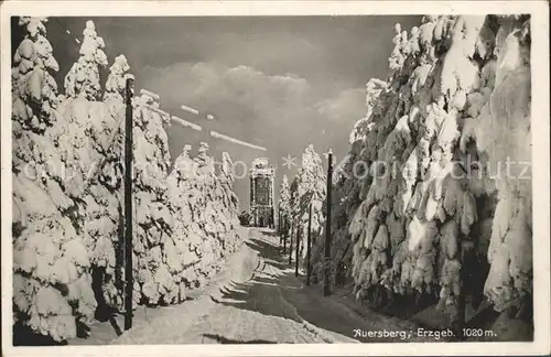 AK / Ansichtskarte Auersberg Wildenthal Aussichtsturm Winterlandschaft Erzgebirge Kat. Eibenstock