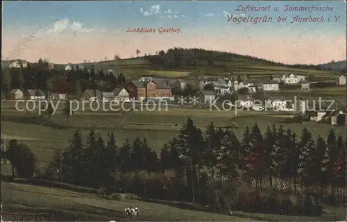 AK / Ansichtskarte Vogelsgruen Panorama Luftkurort Sommerfrische Schaedlichs Gasthof Kat. Auerbach