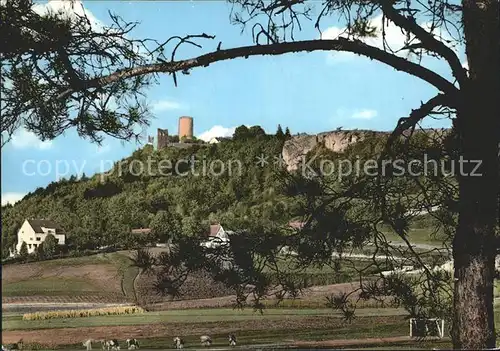 AK / Ansichtskarte Neumarkt Oberpfalz Blick zur Burgruine Kat. Neumarkt i.d.OPf.