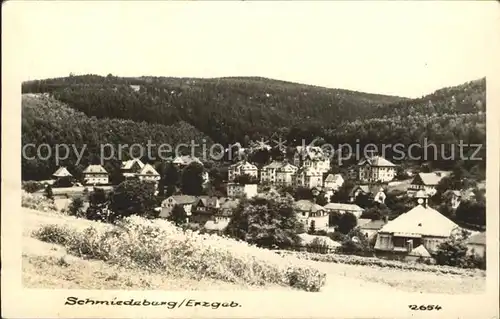 AK / Ansichtskarte Schmiedeberg  Dippoldiswalde Panorama