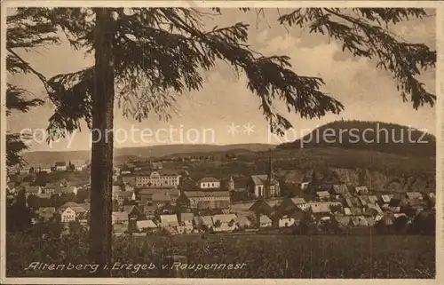 AK / Ansichtskarte Altenberg Erzgebirge Panorama Blick vom Raupennest Geisingberg Kat. Geising