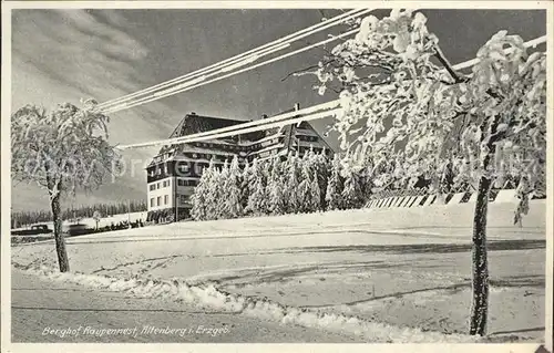 AK / Ansichtskarte Altenberg Erzgebirge Berghof Raupennest Winterpanorama Kat. Geising