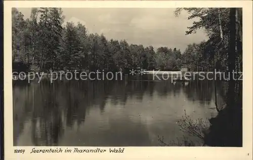 AK / Ansichtskarte Tharandt Seerenteich Tharandter Wald Kat. Tharandt