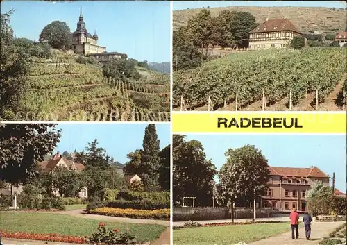 AK / Ansichtskarte Radebeul Spitzhaus Schloss Hofloessnitz Salvador Allende Platz Kreiskulturhaus Kat. Radebeul