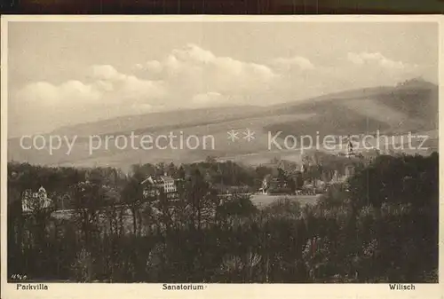 AK / Ansichtskarte Bad Kreischa Parkvilla Sanatorium Wilisch