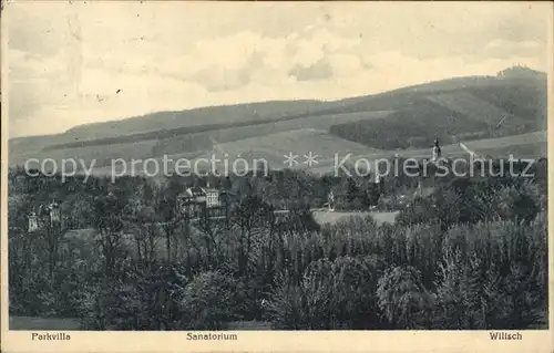 AK / Ansichtskarte Bad Kreischa Parkvilla Sanatorium Wilisch