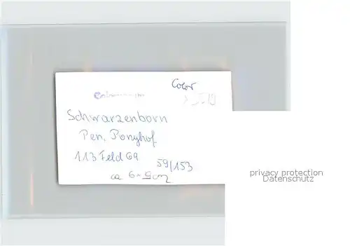 AK / Ansichtskarte Schwarzenborn Knuell Pension Ponyhof Kat. Schwarzenborn