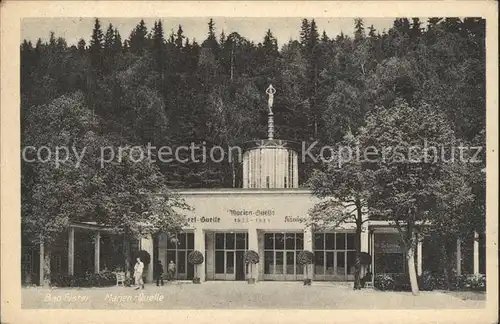 AK / Ansichtskarte Bad Elster Marienquelle Stempel Wollmann Sammlung 1899 Kat. Bad Elster