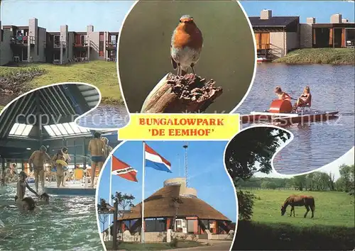 AK / Ansichtskarte Zuidelijk Bungalowpark De Eemhof Tretboot Hallenbad Pferd Vogel