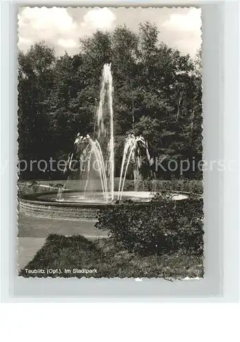 AK / Ansichtskarte Teublitz Stadtpark Springbrunnen Kat. Teublitz