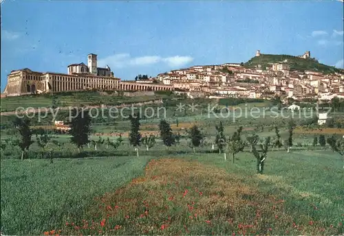 AK / Ansichtskarte Assisi Umbria Panorama dalla pianura Basilica Kat. Assisi