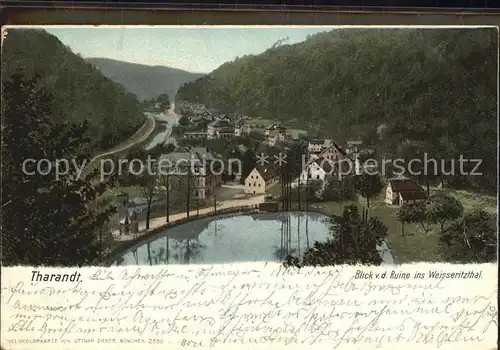 AK / Ansichtskarte Tharandt Blick von der Ruine ins Weisseritztal Schlossteich Kat. Tharandt