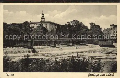 AK / Ansichtskarte Dessau Rosslau Gestaenge Mulde Schloss Kat. Dessau Rosslau