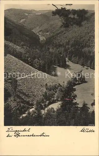 AK / Ansichtskarte Benneckenstein Harz Kunzental