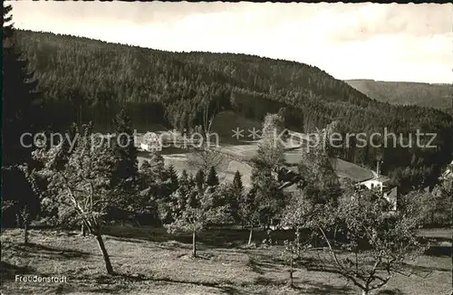 AK / Ansichtskarte Freudenstadt Blick ins Christofstal mit Baerenschloessle Schwarzwald Kat. Freudenstadt