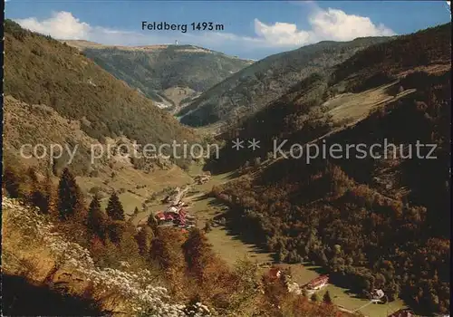 AK / Ansichtskarte Zell Wiesental Blick ins Wiesental bis zum Feldberg Schwarzwald Kat. Zell im Wiesental