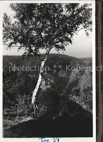 AK / Ansichtskarte Wendefurth Blick ins Bodetal Kat. Altenbrak