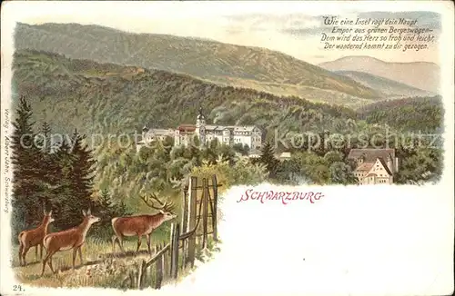 AK / Ansichtskarte Schwarzburg Thueringer Wald Panorama Hirsch Rehe Litho Kat. Schwarzburg