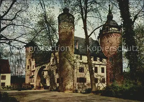 AK / Ansichtskarte Steinbach Michelstadt Schloss Fuerstenau Kat. Michelstadt