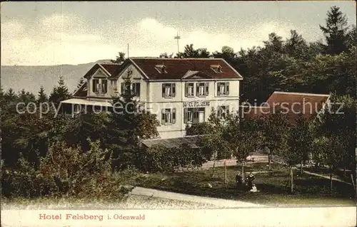 AK / Ansichtskarte Reichenbach Odenwald Hotel Felsberg Kat. Lautertal (Odenwald)