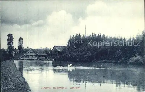 AK / Ansichtskarte Amriswil TG Heldmuehle Teich Schwaene Kat. Amriswil