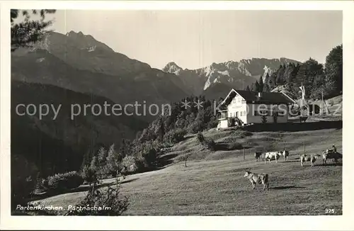 AK / Ansichtskarte Partenkirchen Partnachalm Almwiese Kuehe Alpen Kat. Garmisch Partenkirchen