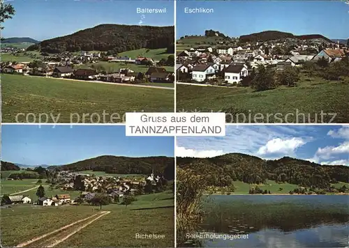 AK / Ansichtskarte Balterswil Eschlikon Bichelsee See Erholungsgebiet Tannenzapfenland Kat. Balterswil