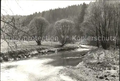 AK / Ansichtskarte Luebbenau Spreewald Teilansicht  Kat. Luebbenau