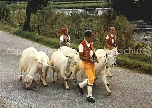 AK / Ansichtskarte Ziege Alpabfahrt Sennenbub Tracht  Kat. Tiere