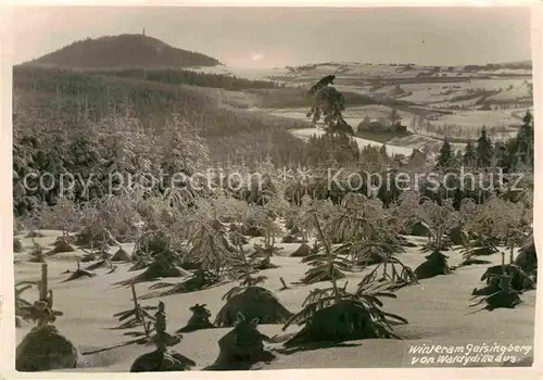 AK / Ansichtskarte Waldidylle Winter am Geisingberg Kat. Altenberg