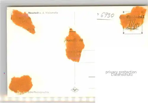 AK / Ansichtskarte Neustadt Weinstrasse Panorama Kat. Neustadt an der Weinstr.