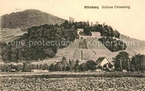 AK / Ansichtskarte Offenburg Schloss Ortenberg Kat. Offenburg