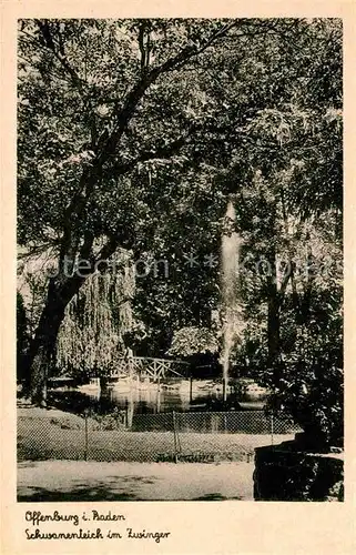 AK / Ansichtskarte Offenburg Schwanenteich im Zwinger Park Kat. Offenburg