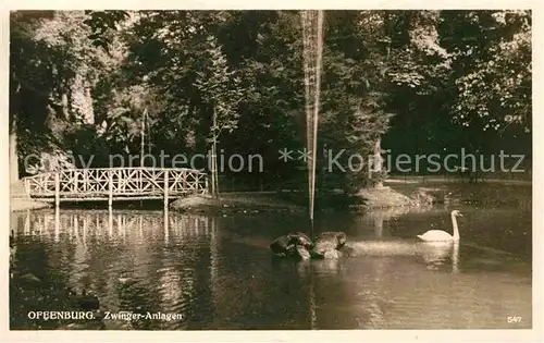 AK / Ansichtskarte Offenburg Schwanenteich im Zwingerpark Kat. Offenburg