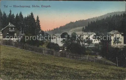 AK / Ansichtskarte Hirschsprung Tal Erzgebirge Kat. Altenberg