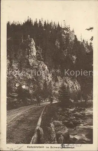 AK / Ansichtskarte Zoeblitz Sachsen Katzenstein Schwarzwassertal Felsen Erzgebirge Kat. Zoeblitz