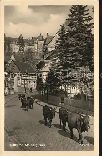 AK / Ansichtskarte Stolberg Harz Austrieb der Kuehe Luftkurort Kat. Stolberg Harz