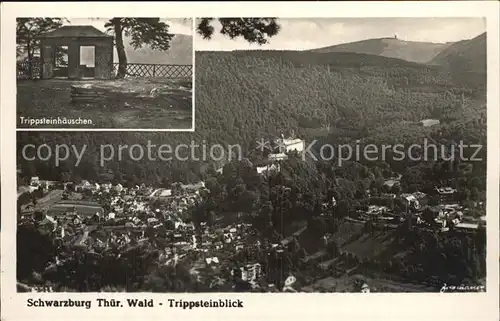 AK / Ansichtskarte Schwarzburg Thueringer Wald Panorama Trippsteinblick Trippensteinhaeuschen Kat. Schwarzburg