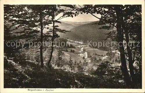 AK / Ansichtskarte Heigenbruecken Panorama Kat. Heigenbruecken