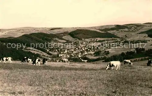 AK / Ansichtskarte Geising Erzgebirge Panorama Viehweide Kuehe Kat. Geising Osterzgebirge