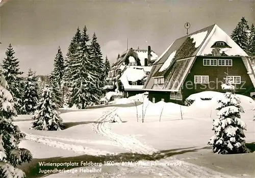 AK / Ansichtskarte Feldberg Schwarzwald Jugendherberge Hebelhof Wintersportplatz Kat. Feldberg (Schwarzwald)