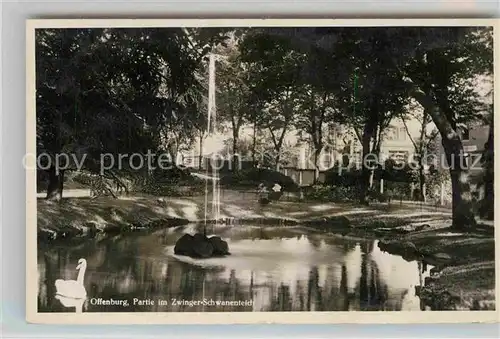 AK / Ansichtskarte Offenburg Partie im Zwinger Park Schwanenteich Kat. Offenburg