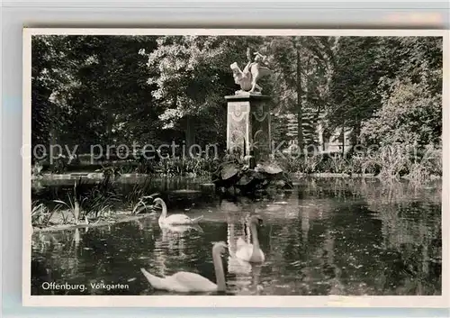 AK / Ansichtskarte Offenburg Volksgarten Schwanenteich Kat. Offenburg