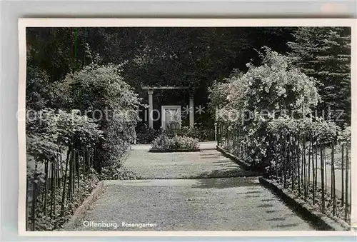 AK / Ansichtskarte Offenburg Rosengarten Kat. Offenburg